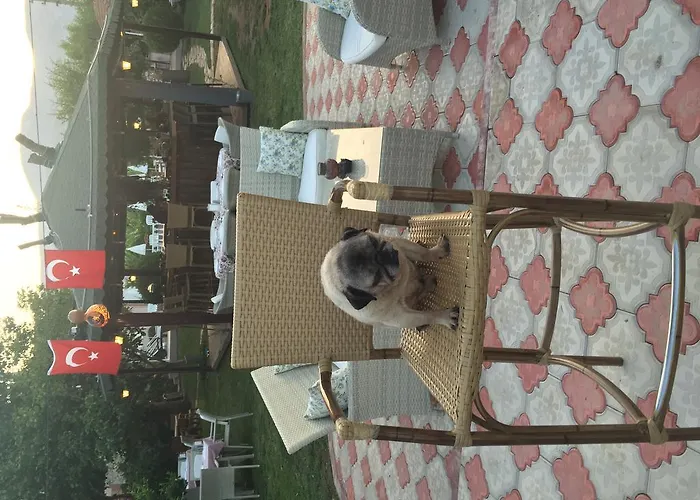 Dalyance Отель 3*